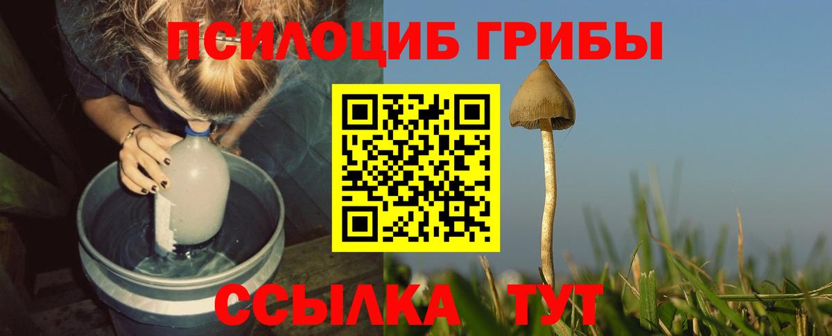 Кубинка  Галлюциногенные грибы мицелий  Вход с VPN 